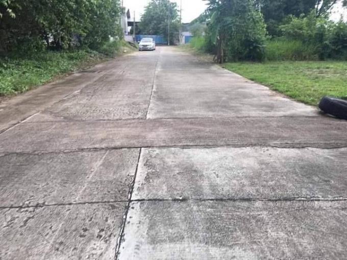 ที่ดินถมแล้วสวย หนองตำลึง 90 ตรว. ภาพที่ 3